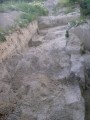 Filename=0003_archeol_stur.JPG
Filesize=194KiB
Dimensions=480x640
Date added=Sep 27, 2008 0003_archeol_stur.JPG