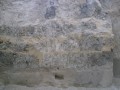 Filename=0010_archeol_stur.JPG
Filesize=74KiB
Dimensions=640x480
Date added=Sep 27, 2008 0010_archeol_stur.JPG