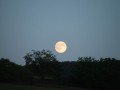 DSCF8317.JPG