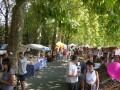 DSCN0671.JPG