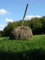 DSCN1340.JPG