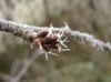 DSCN4342.JPG