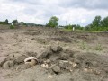 DSCN5313.JPG