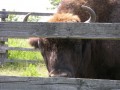 DSCN6118.JPG