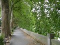 DSCN8074.JPG