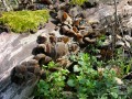 DSCN8625.JPG