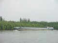 DSCN9636.JPG