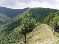 Filename=Nagy_Mana.JPG
Filesize=100KiB
Dimensions=694x520
Date added=Mar 06, 2006 Nagy_Mana.JPG
