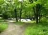 dscn1515.jpg