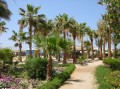 DSCN6313.JPG